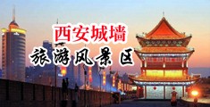 男人的大鸡巴操的小逼好爽视频中国陕西-西安城墙旅游风景区